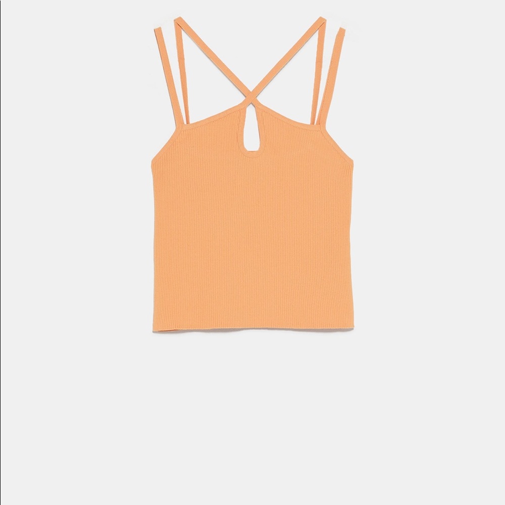 Zara Crop Top